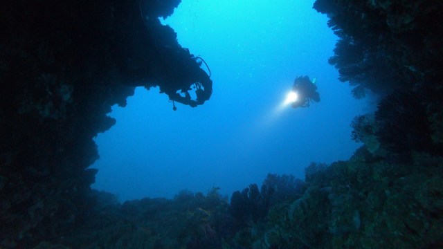 Scientists hope their data can protect these fragile ecosystems and encourage in-depth research.
