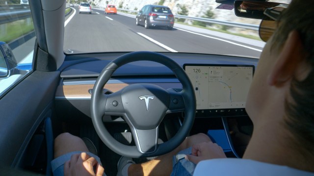 The lawsuit comes after a driver said his EV, which was on autopilot, collided with a tree.