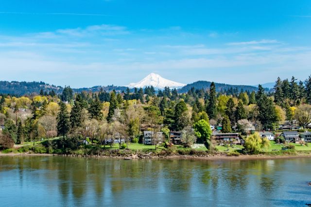 "Many of us were frantically raking and skimming large clumps of weeds from the water."