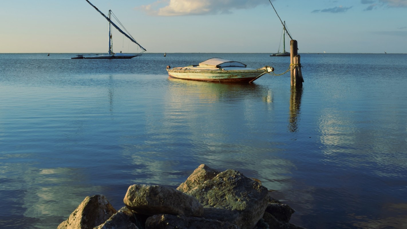 "Burullus Lake serves as a stark reminder."