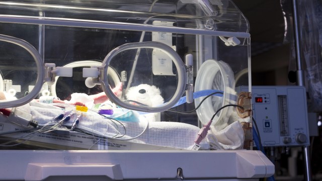 Pregnant mothers and their fetuses are more susceptible to the negative effects.