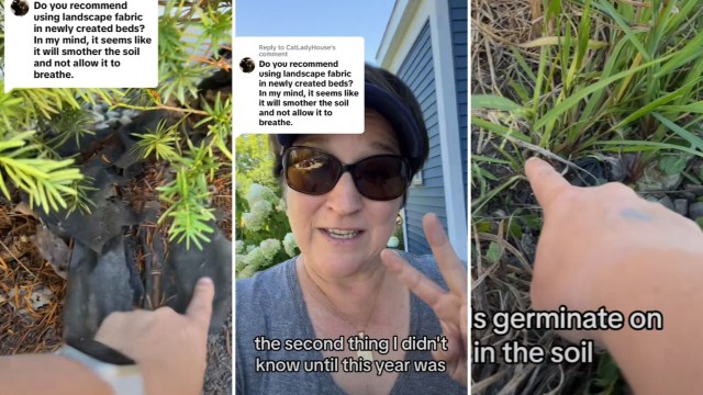"I literally just argued with my landscaper about this!"