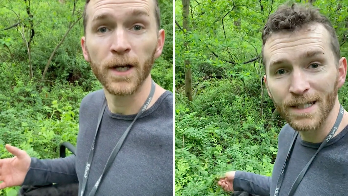 "It’s completely overtaken the understory."