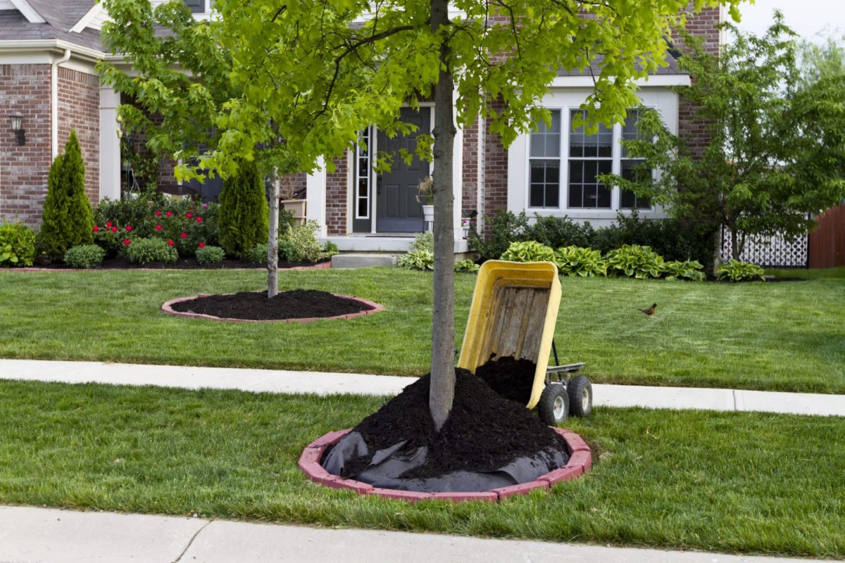 "The fabric can damage trees and inhibit earthworms' natural microorganism activity that helps the soil."