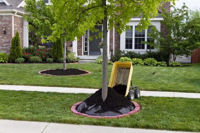 "The fabric can damage trees and inhibit earthworms' natural microorganism activity that helps the soil."
