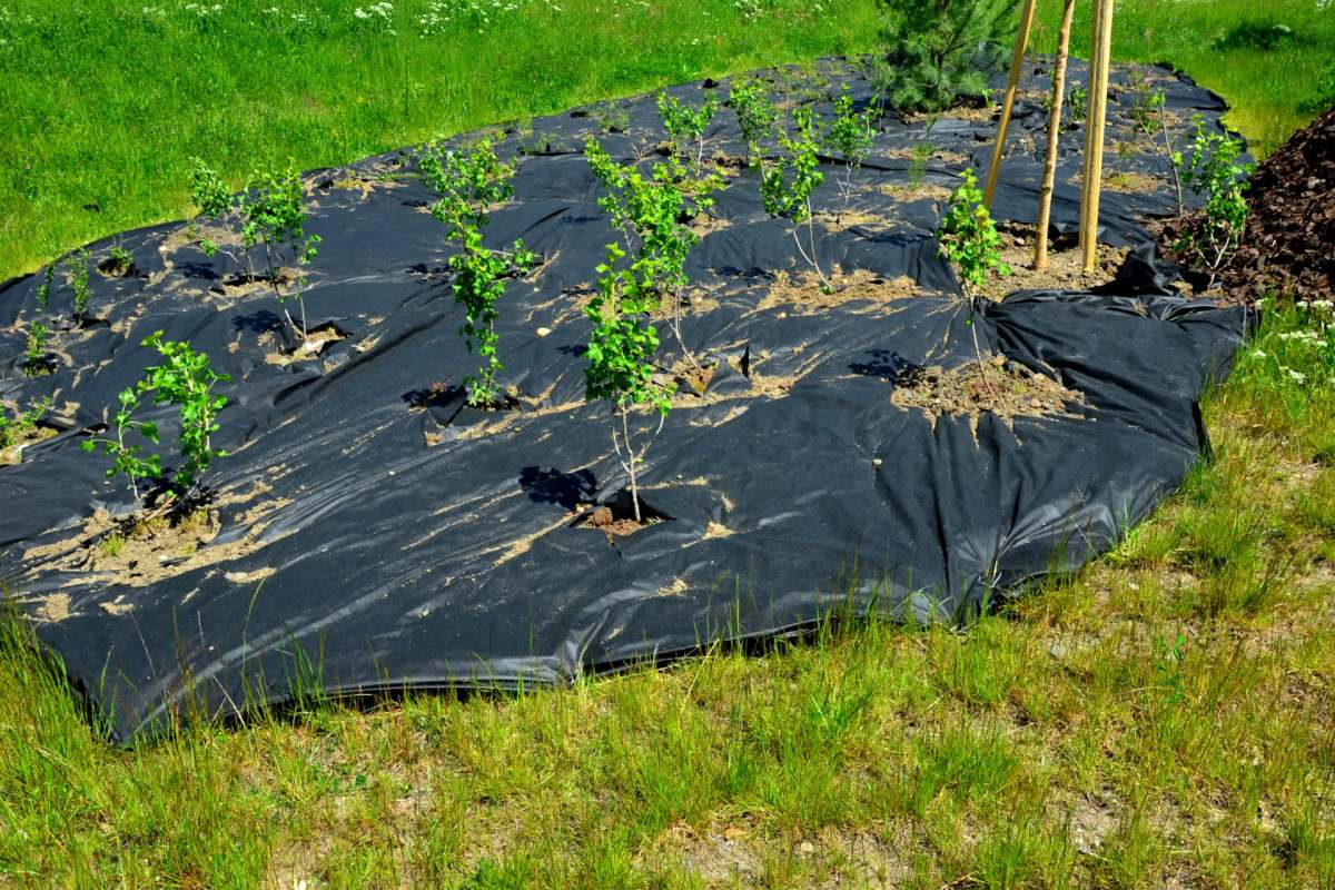 Landscaping material is often made with a polyester material used to manage the growth of weeds.