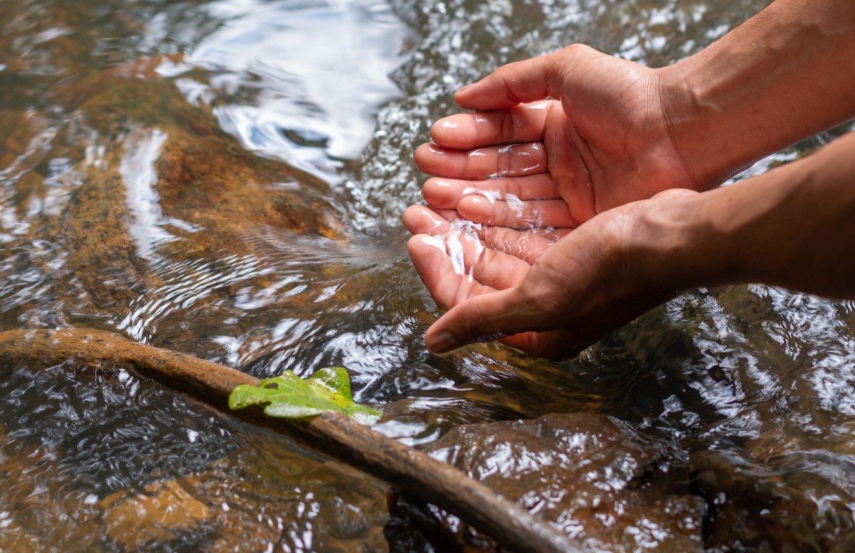 "The only limitation is that it needs someone to take advantage of these abundant resources."