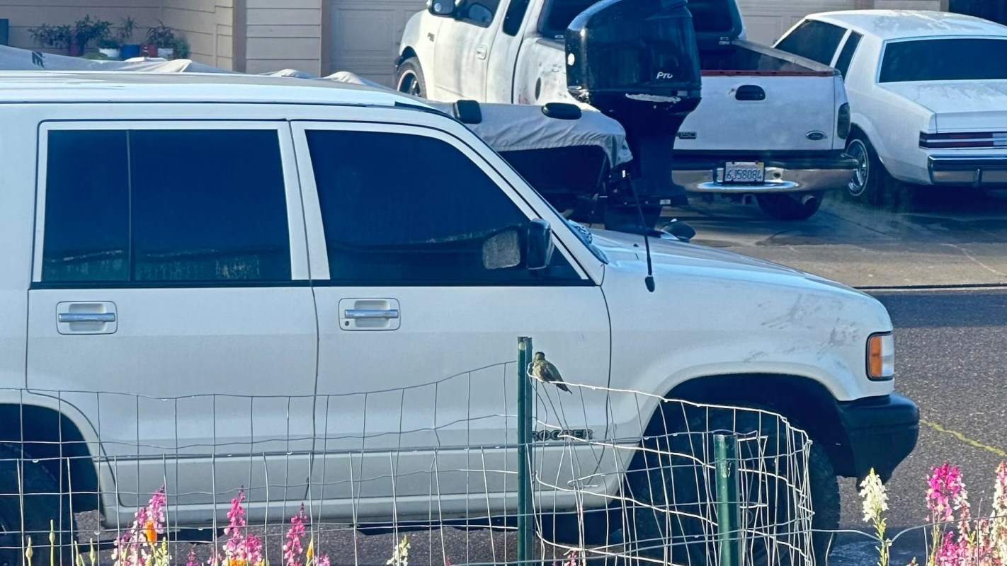 "Prettiest yard in the neighborhood."
