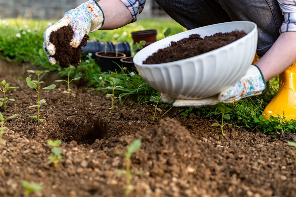 Reusing leftovers can provide natural nutrients for your vegetation.