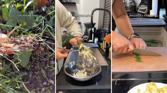 "The only plants I want in my lawn are ones I can mow and eat."