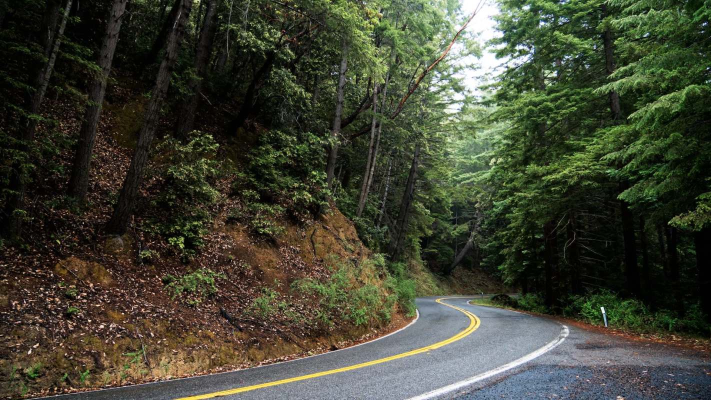 "Stop supporting businesses that blatantly destroy native biodiversity."
