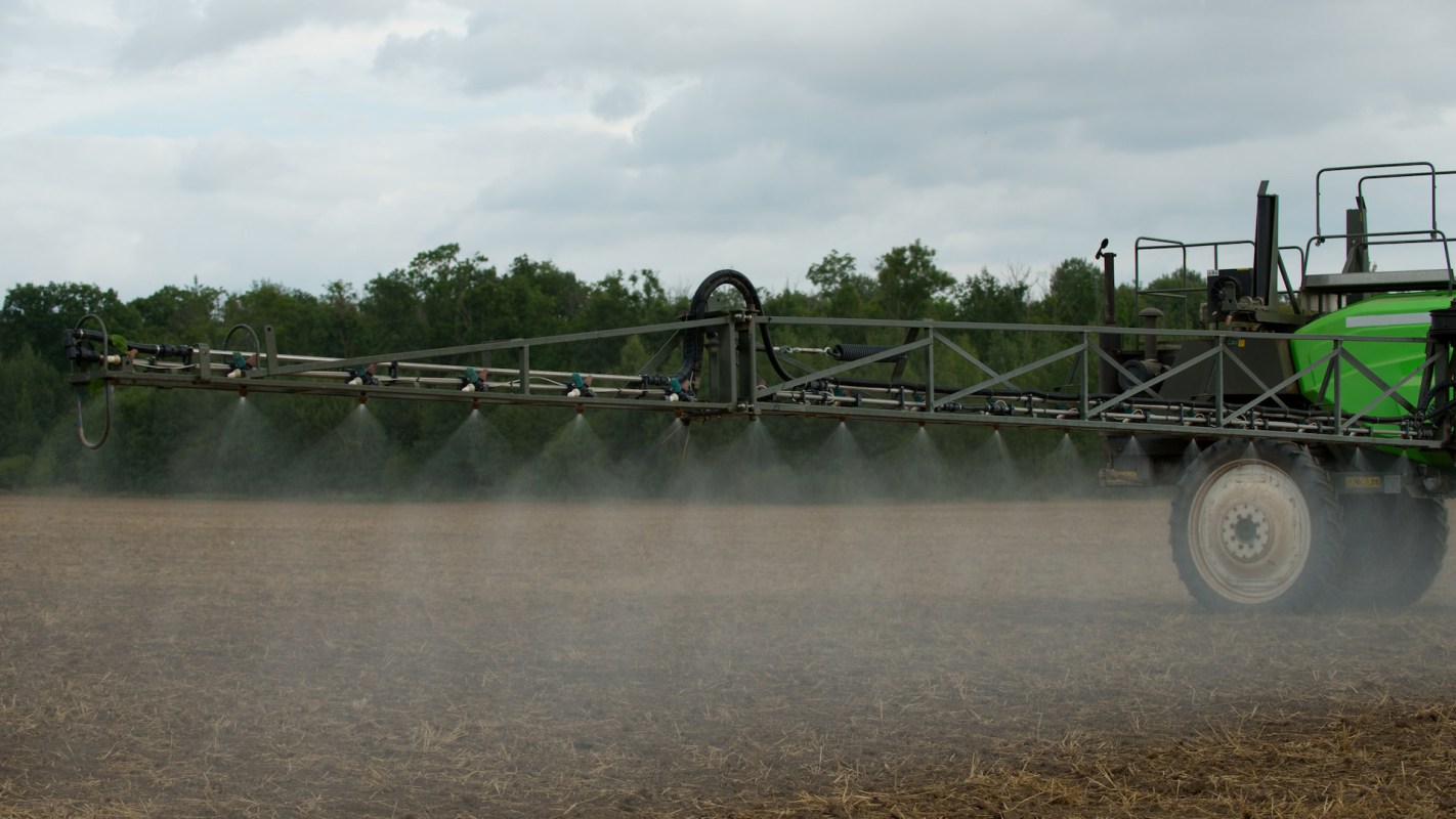 "We found pervasive negative impacts across plants, animals, fungi and microbes."