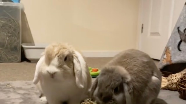 "So cuteeee!"