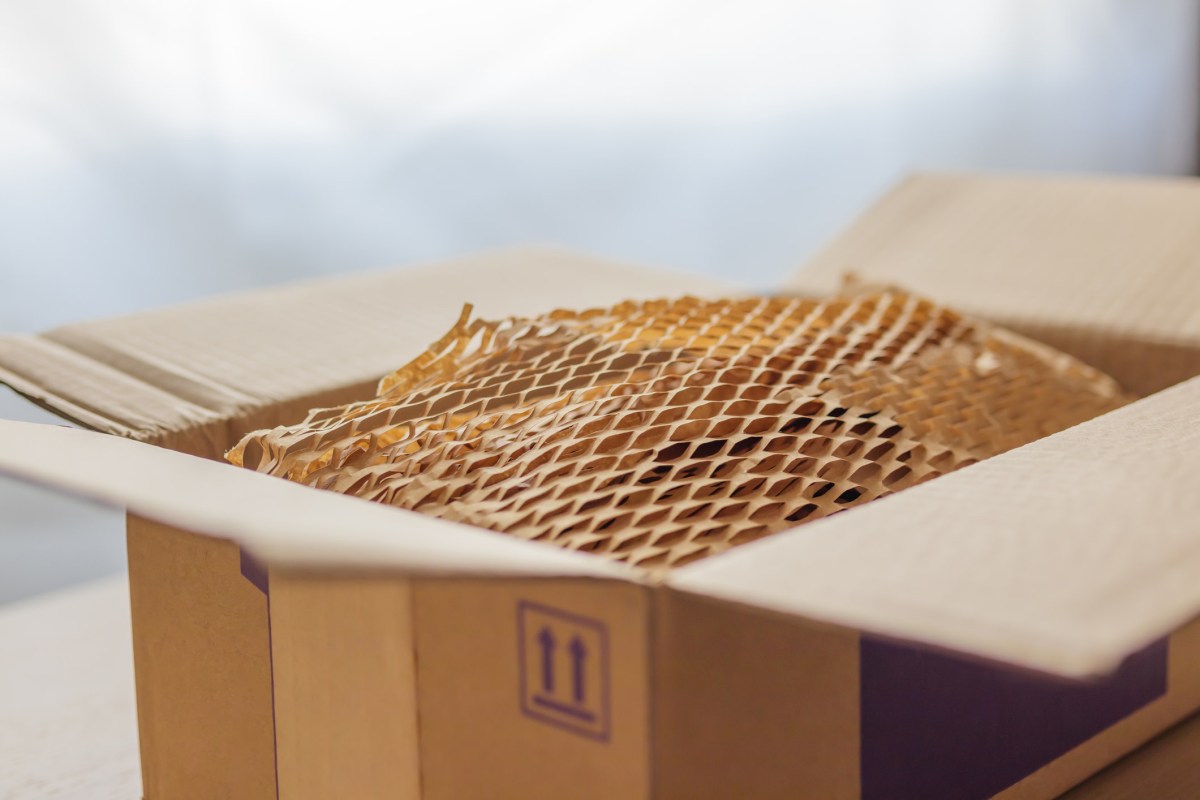 "This investment has enormous potential."