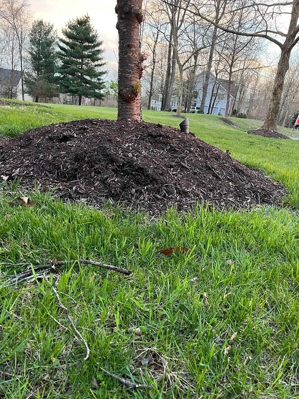 "Should have never been mounded up in the first place."