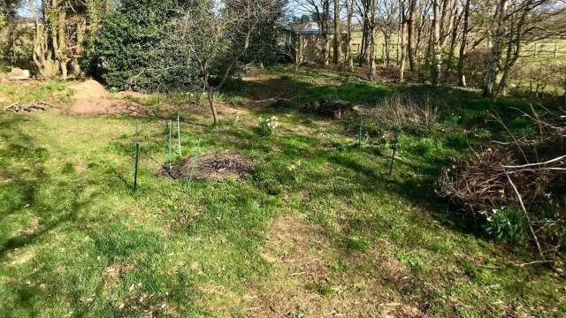 "We settled on the idea of having a formal garden surrounded by more informal woodland paths and beds."