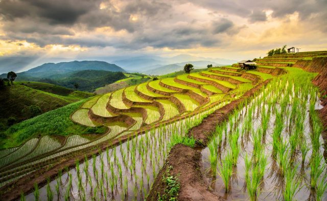 "A major step forward for farmers and global food security."
