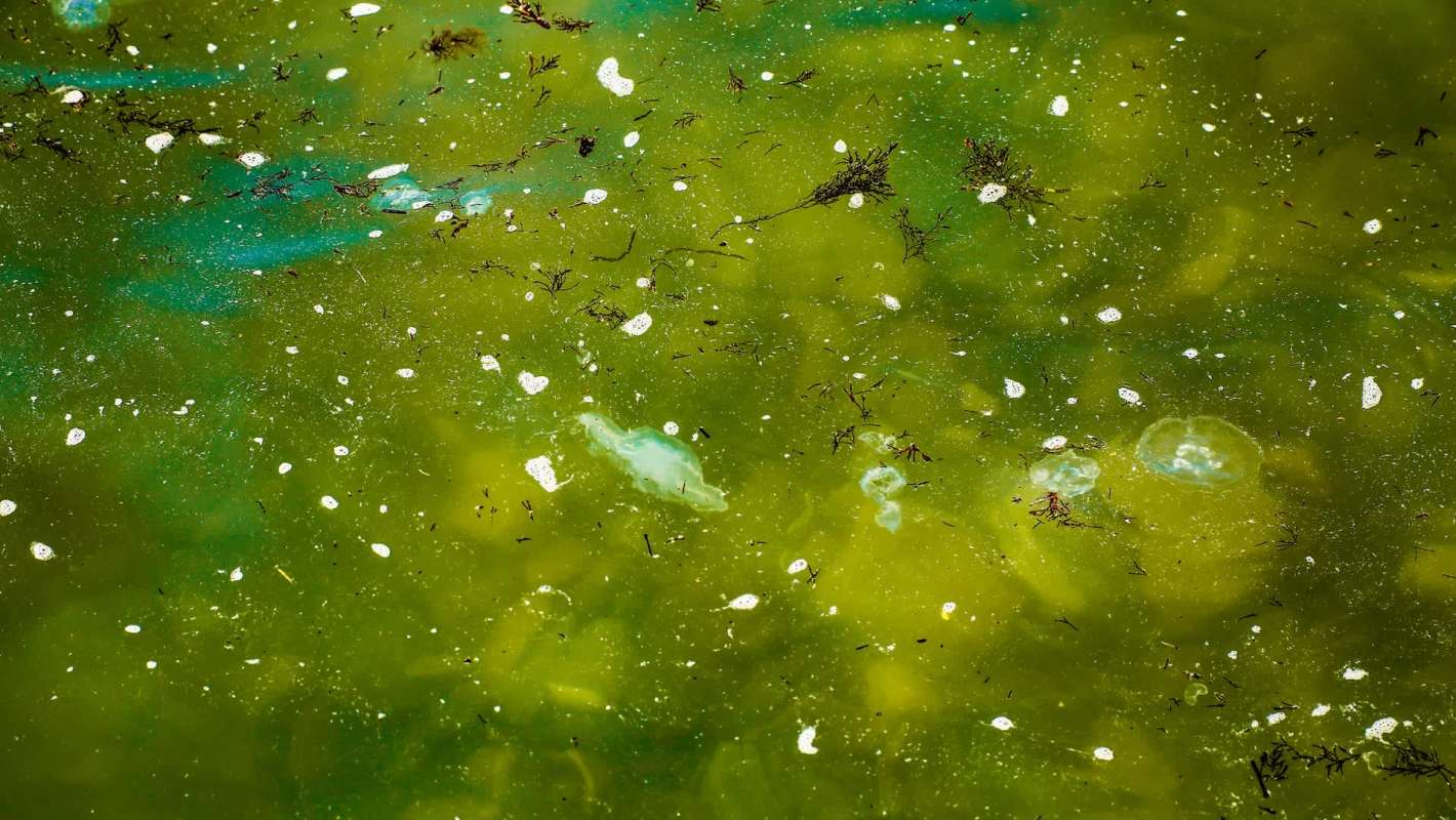 Robots could be part of the solution to tackling our growing pollution crisis.