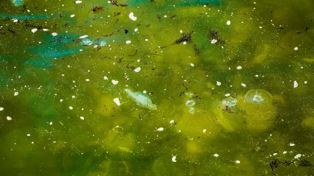 Robots could be part of the solution to tackling our growing pollution crisis.