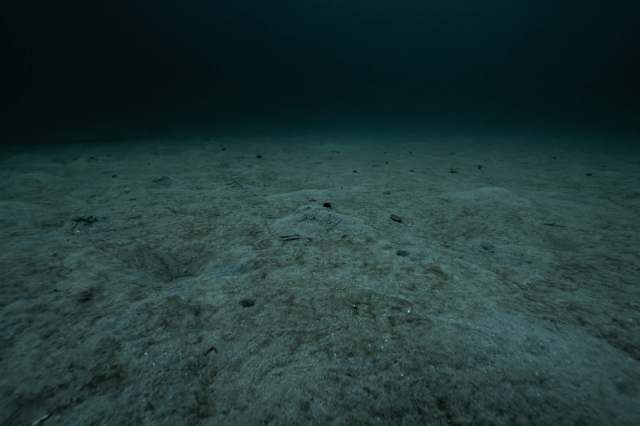 "It's also a reminder of the need to ensure we protect our marine environment."