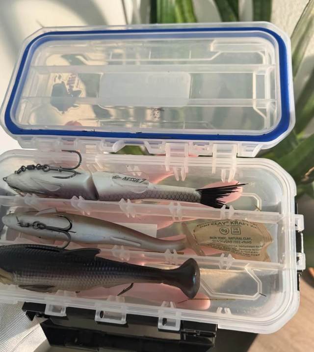 "Smart move!"