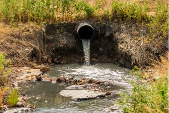 "We hope that our proposed method shows the viability of managing waste sustainably."