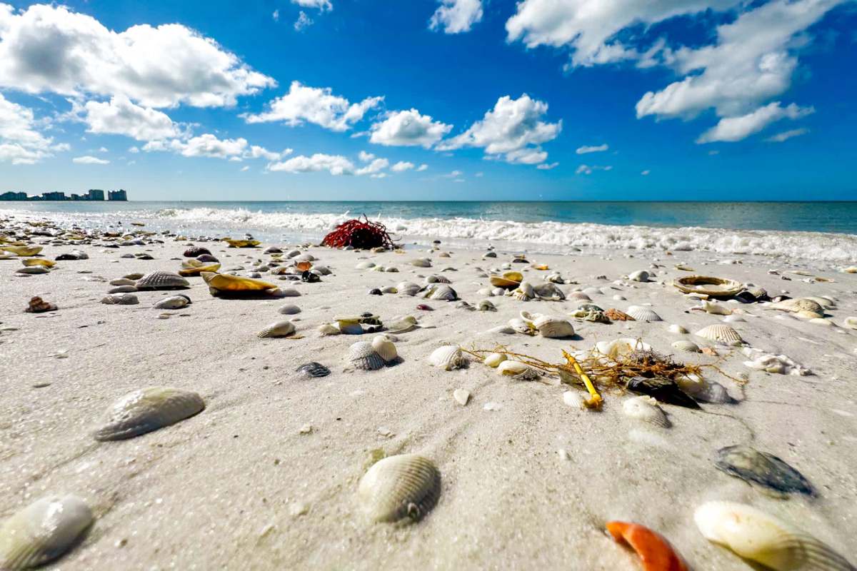 Scientists have looked to seawater for “green hydrogen” extraction for years.