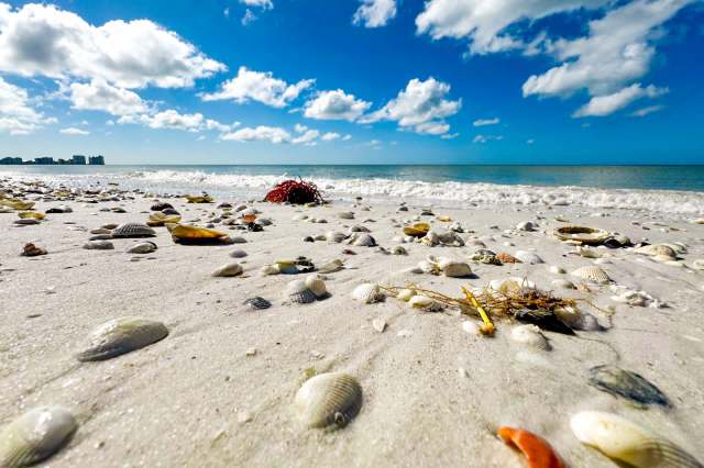 Scientists have looked to seawater for “green hydrogen” extraction for years.