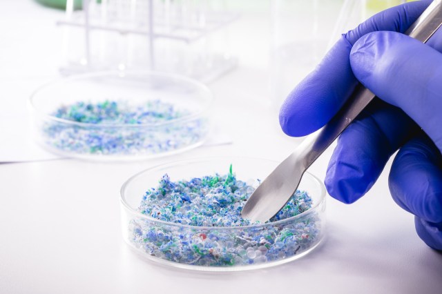 Scientists initially believed they were onto something promising.