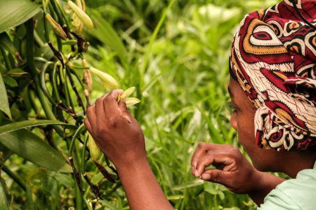 "It is a serious problem that many farmers worldwide are facing."