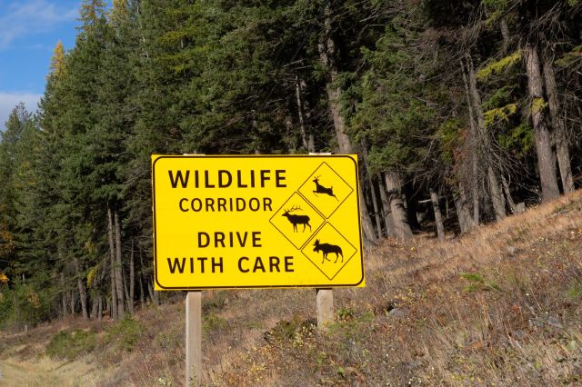 "This habitat on top is a result of a lot of design, engineering, and planning."