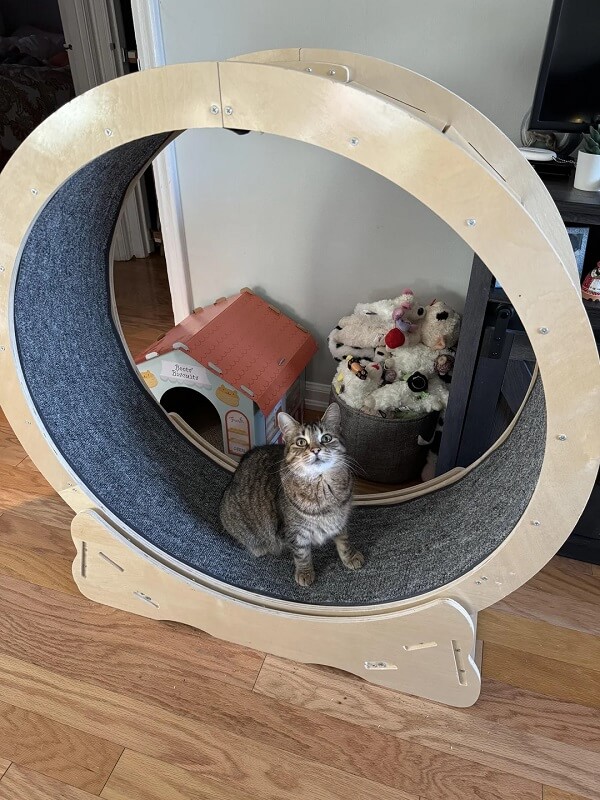 "I really want one."
