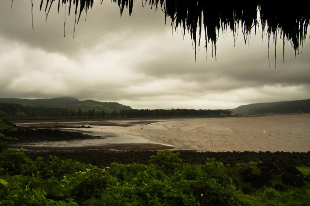 This isn't just about disappearing fish.