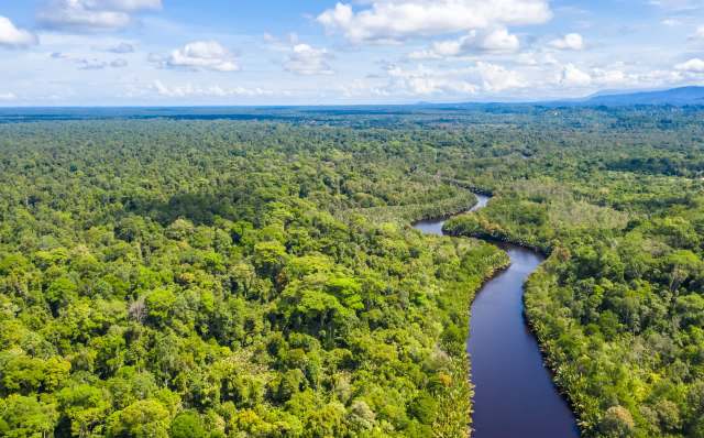 "They ravage rivers, forests and Indigenous communities."