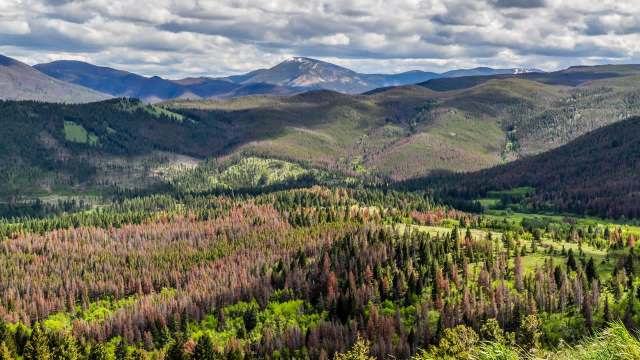 "[These] forests must be multi-use."