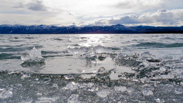 "We do have 10,000 years of stewardship that is not incorporated into the current Western science and governance structure."