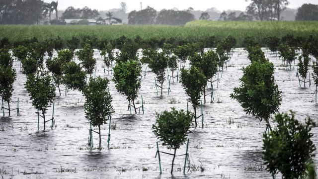 The ex-cyclone brought more fury than similar storms have in the past.