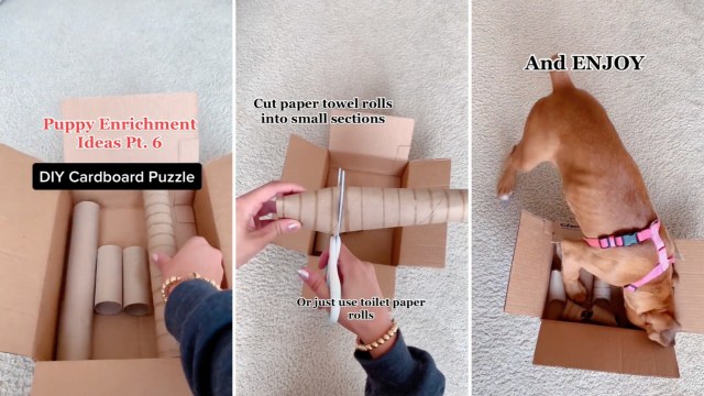 "Fun idea!"