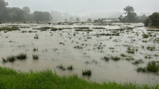 The tool can address 23 major crops up through the year 2080 throughout the globe.