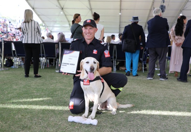 "This award is a fitting tribute to the work Gandalf has done for our team and the community."