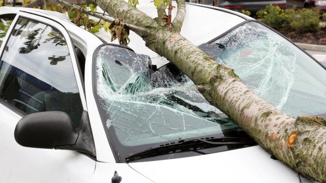 It could cost up to $250 billion to repair all the damage caused by Hurricane Helene.