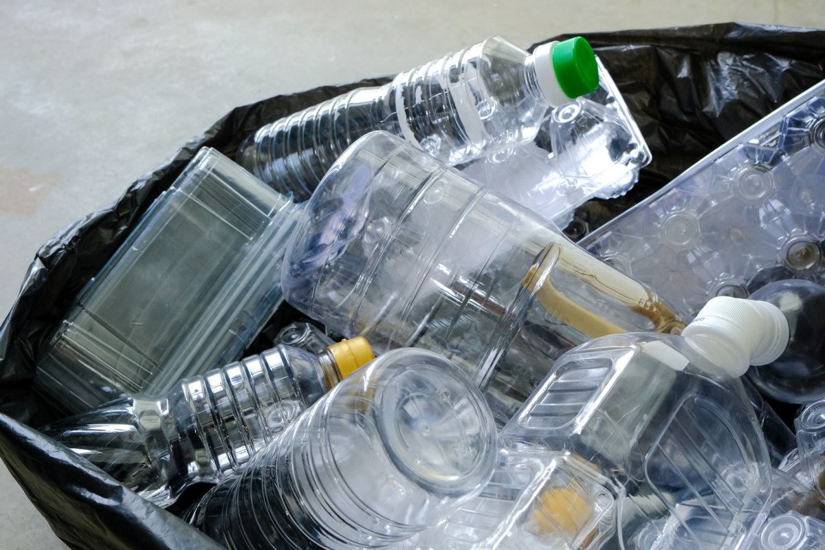 "We have given ample time to align with global best practices."
