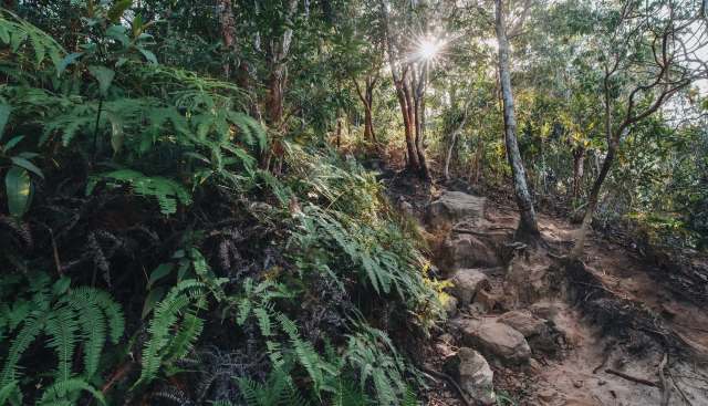 "Although this might be less obvious to the average American ... a large variety of organisms maintain human consumption needs."