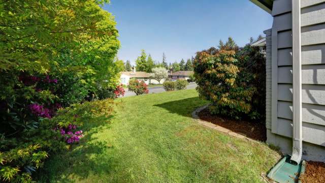 Nampa in Bloom offers residents up to $5,000 to trade their thirsty grass lawns for beautiful, low-maintenance native landscapes.