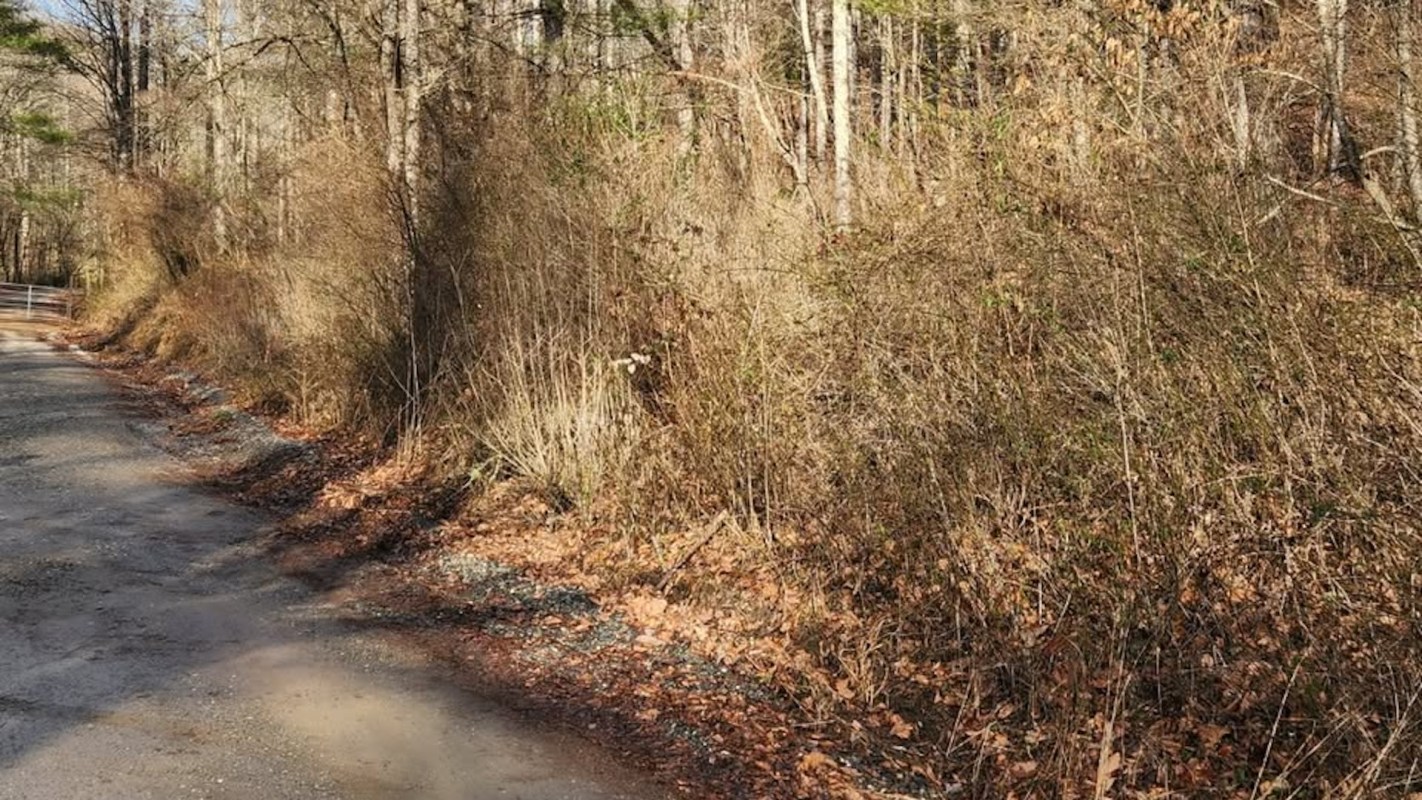 "Every step helps protect the health and beauty of Pisgah National Forest for generations to come."