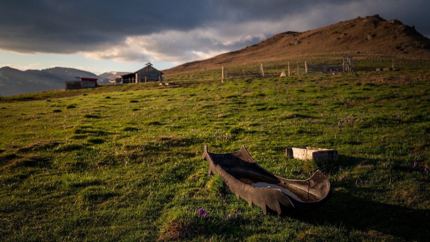The issue may put agricultural workers out of employment.