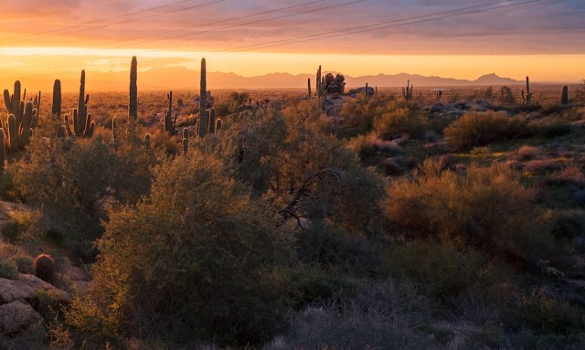 The deaths point to a broader problem affecting the southwestern United States.
