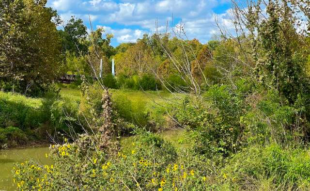 "The land is also providing a natural, protected habitat for migratory birds and other wildlife."