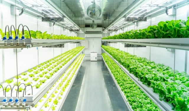 "On the surface, it looks like we're just giving away free veggies."