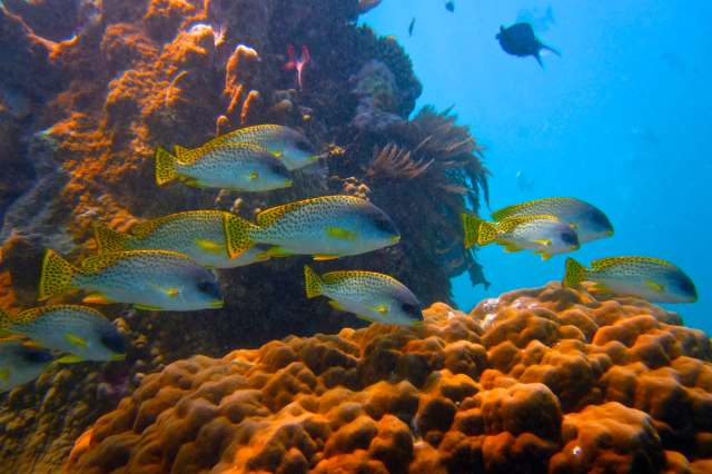 Expert scientists have warned the public for years about the issue.